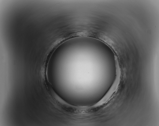 X0000094950297200712061257