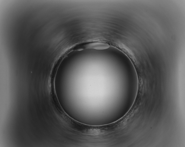 X0000094950298200712061257