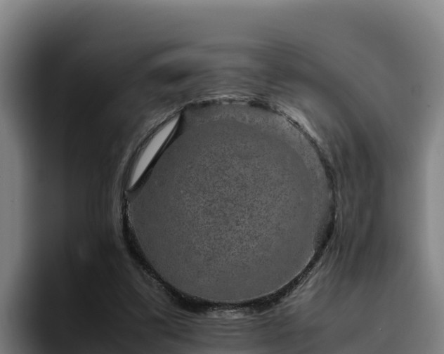 X0000094950299200712061257