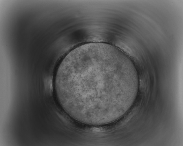 X0000094950302200712061257