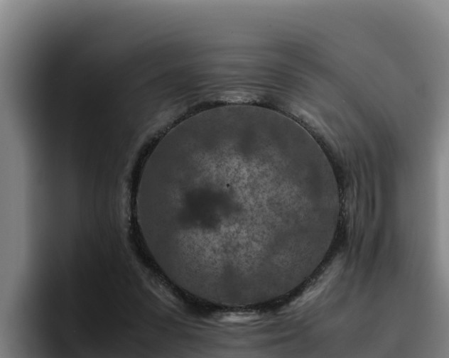 X0000094950303200712061257