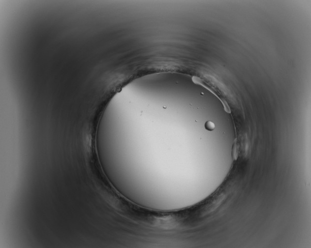 X0000094950309200712061257