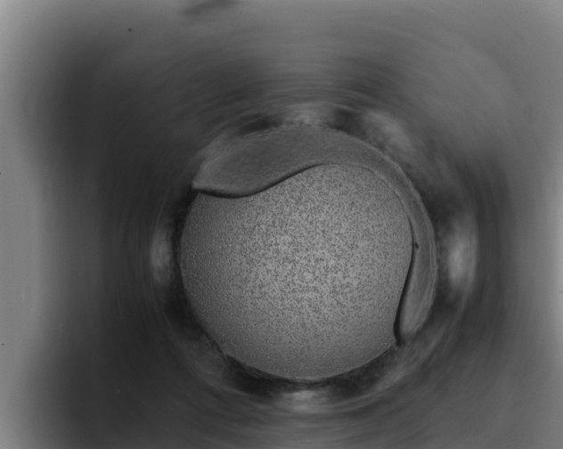 X0000094950312200712061257