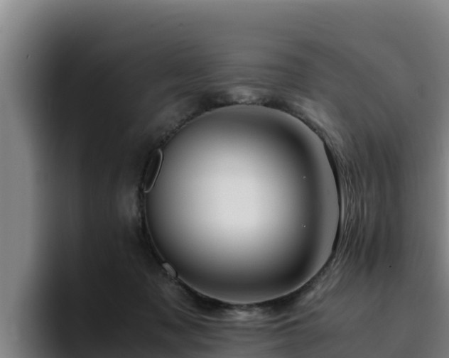 X0000094950317200712061257