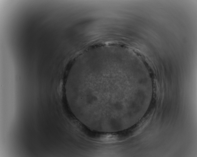 X0000094950319200712061256