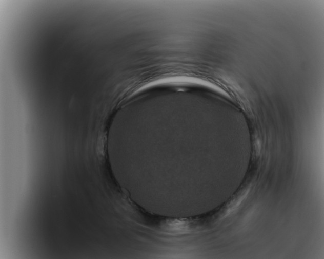 X0000094950325200712061256