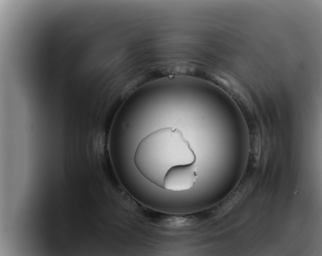 X0000094950326200712061256