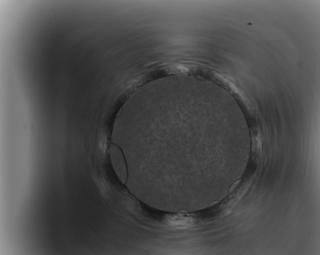 X0000094950331200712061256