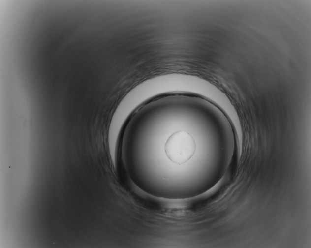 X0000094950332200712061256