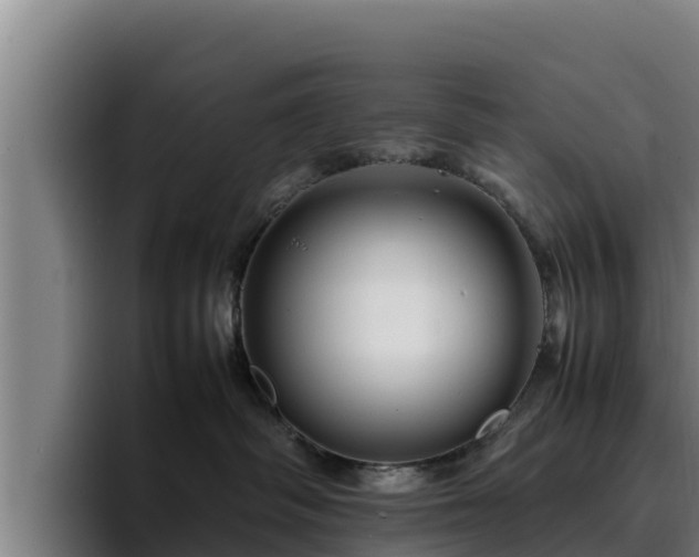 X0000094950334200712061256