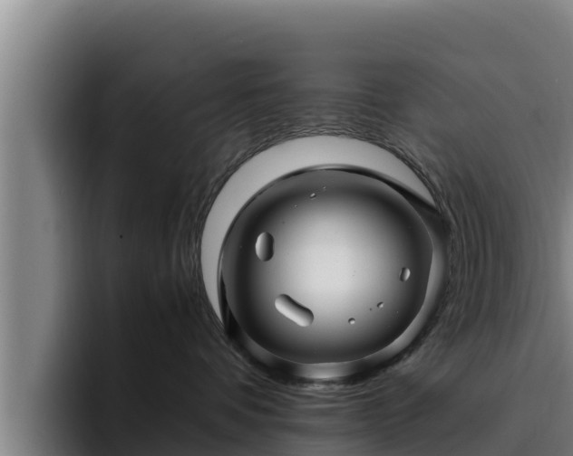 X0000094950336200712061256