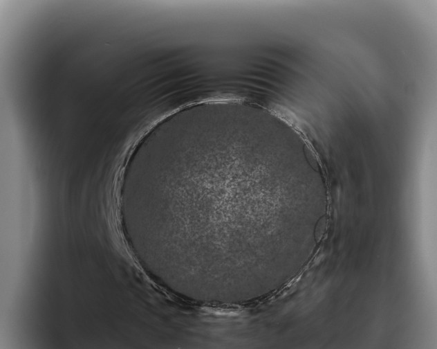 X0000094950337200712061256