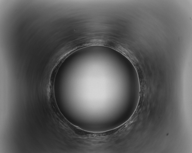 X0000094950338200712061256