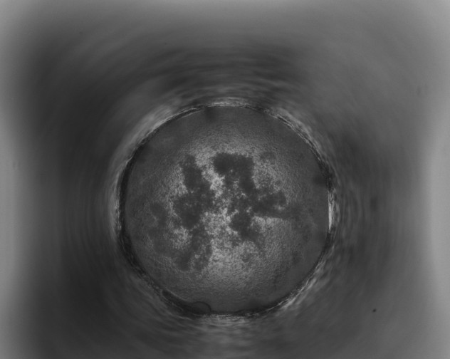 X0000094950339200712061256