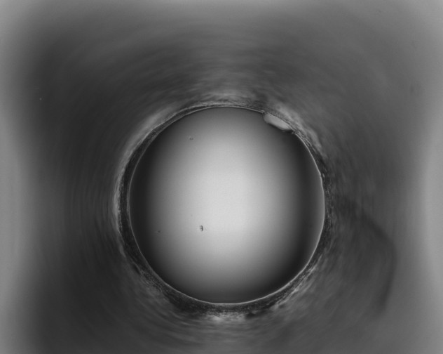 X0000094950340200712061256