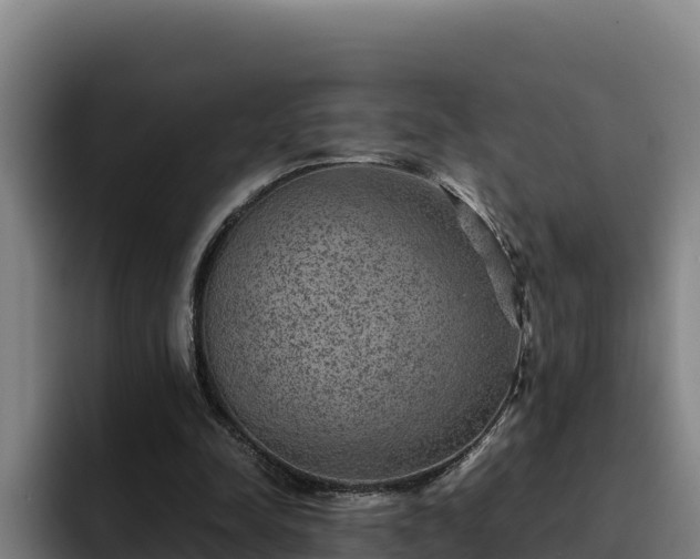 X0000094950342200712061256