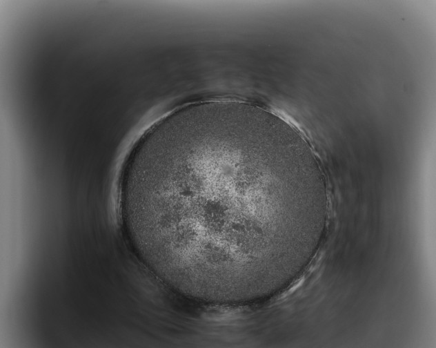 X0000094950343200712061256