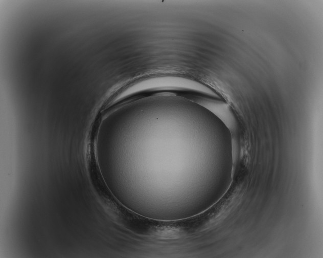 X0000094950348200712061256