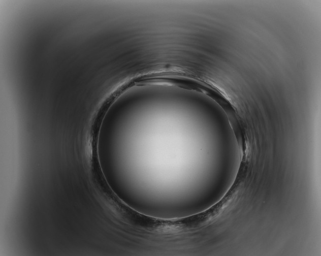 X0000094950350200712061256