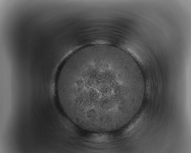 X0000094950351200712061256