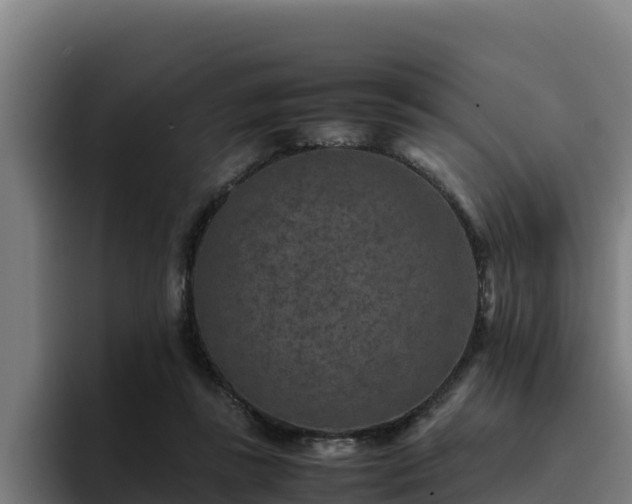 X0000094950355200712061256