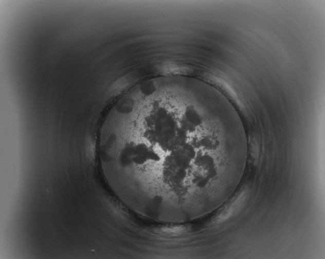 X0000094950357200712061256