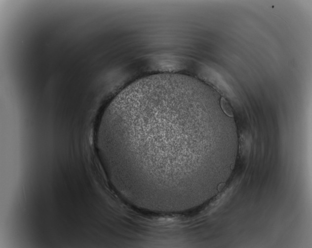 X0000094950358200712061256