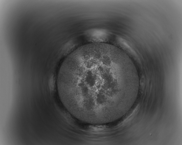 X0000094950359200712061256