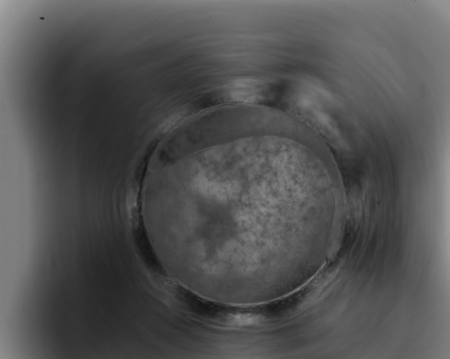 X0000094950360200712061256