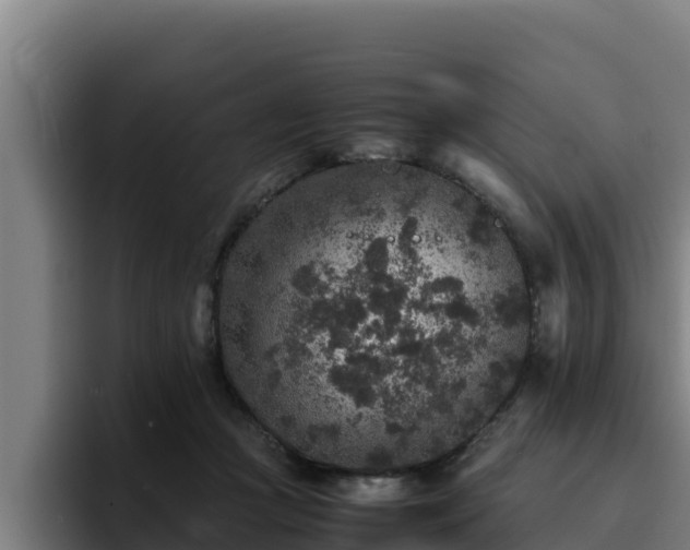 X0000094950361200712061256