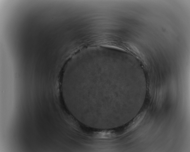 X0000094950366200712061256