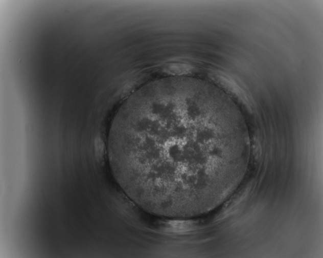 X0000094950371200712061256