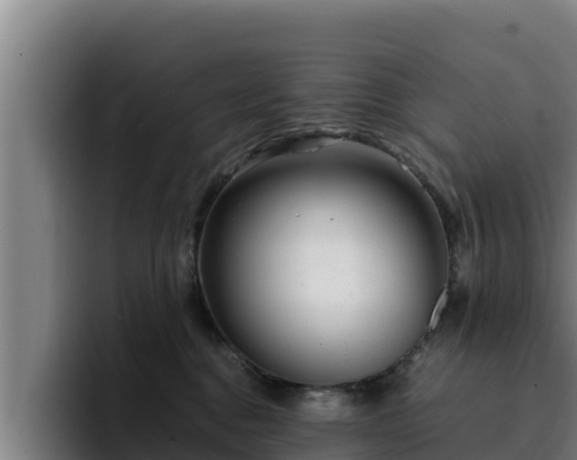 X0000094950376200712061256