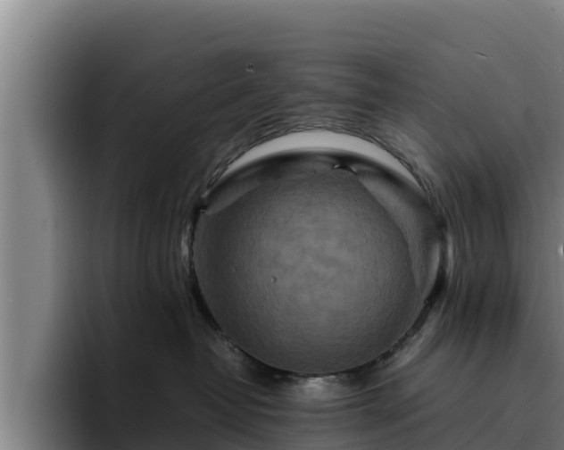 X0000094950382200712061256