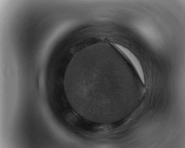 X0000094950383200712061256