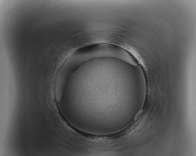 X0000094950385200712061256