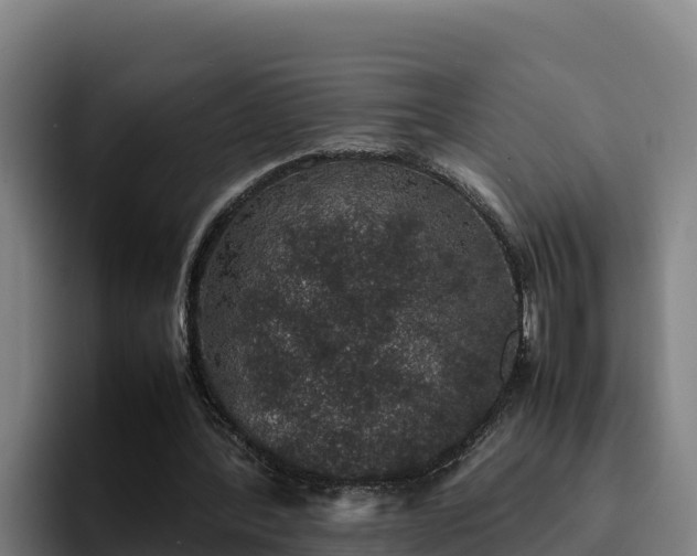 X0000094950388200712061256