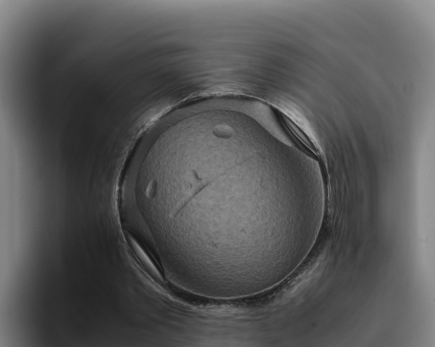 X0000094950389200712061256