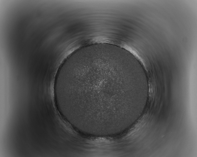 X0000094950390200712061256