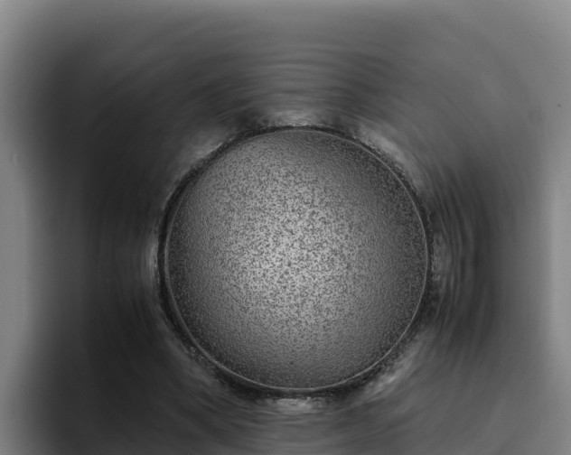 X0000094950394200712061256