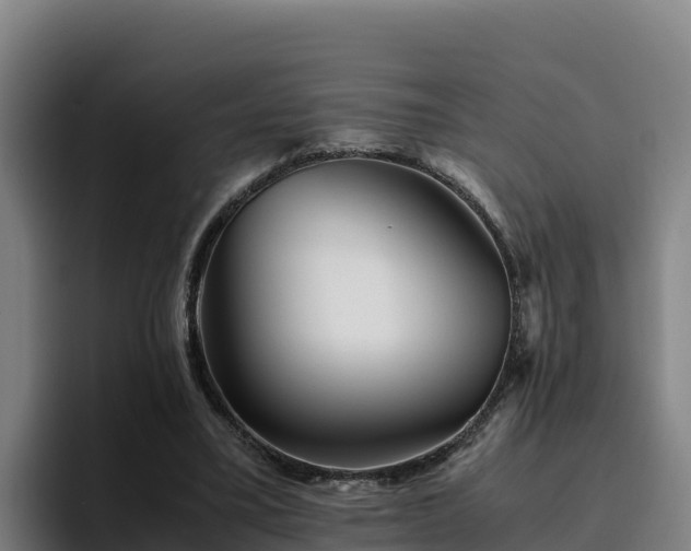 X0000094950395200712061255