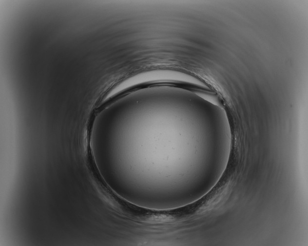 X0000094950397200712061255