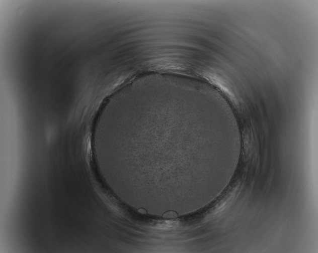 X0000094950398200712061255