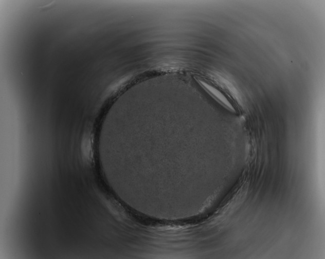 X0000094950400200712061255