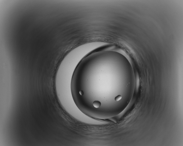 X0000094950401200712061255