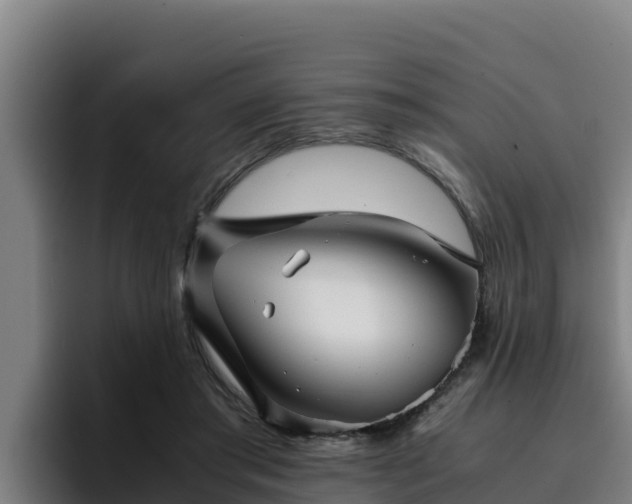 X0000094950405200712061255