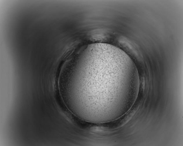 X0000094950408200712061255