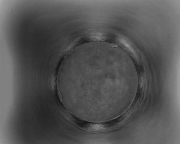 X0000094950409200712061255