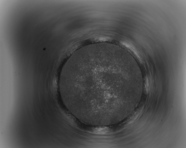 X0000094950410200712061255