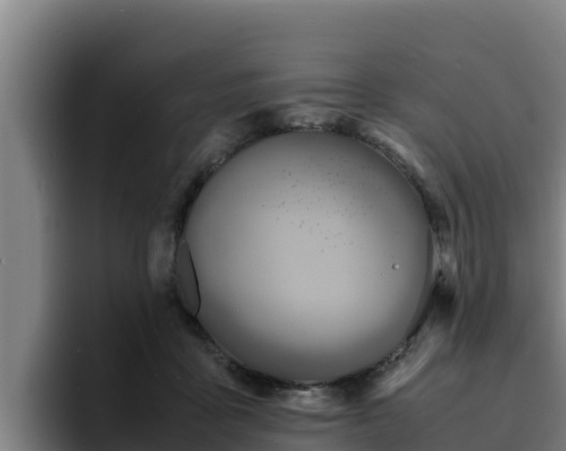 X0000094950411200712061255